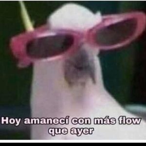 Meet your Posher, Aracely